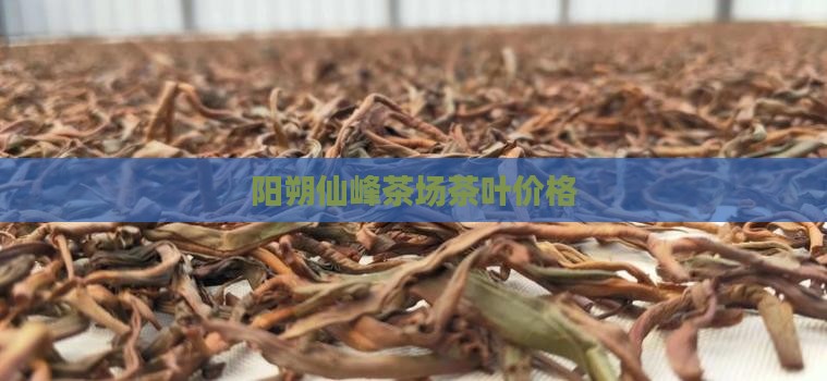 阳朔七仙峰茶叶价格