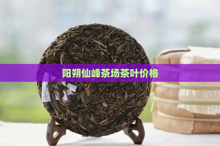阳朔七仙峰茶叶价格