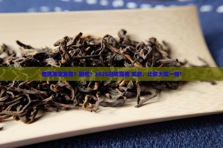 普洱茶是否会发霉