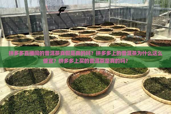 拼多多直播间的普洱茶真假