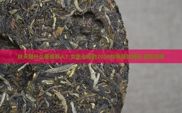 适合女生秋天喝的茶