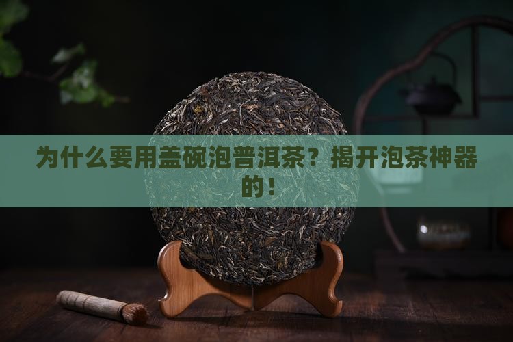 为什么要用盖碗泡普洱茶
