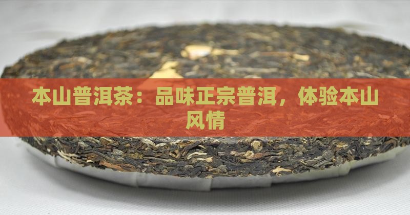 本山绿嘎子普洱茶