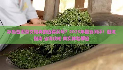 冰岛普洱茶品牌女鞋