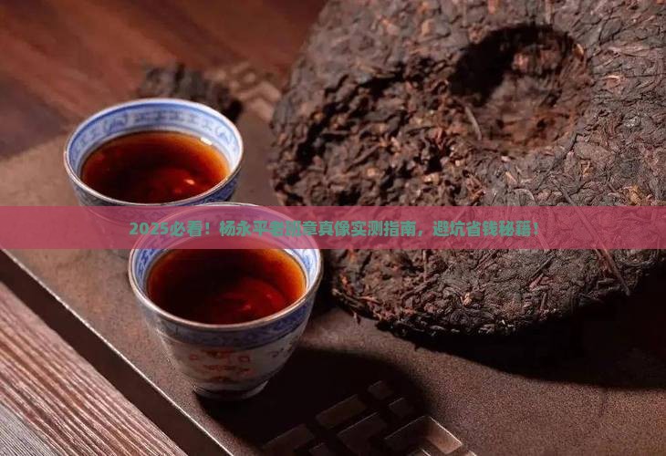 2019杨永平老班章