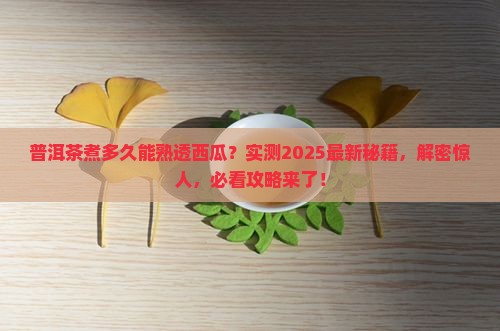 普洱茶煮多久能熟透西瓜