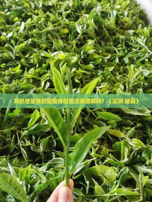 风热感冒喝青柑普洱茶有用吗