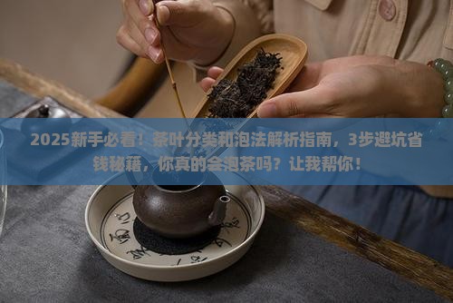 茶叶分类和泡法