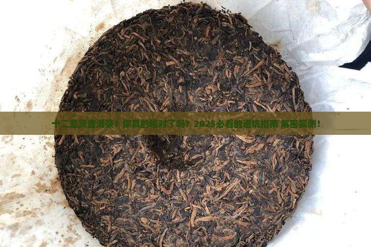 十二圣贤普洱茶
