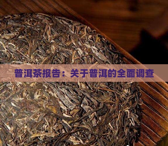 关于普洱茶的调查