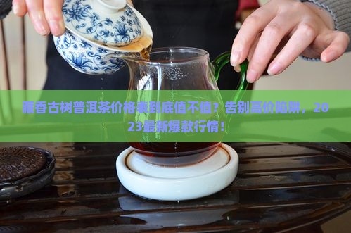 藏香古树普洱茶价格表