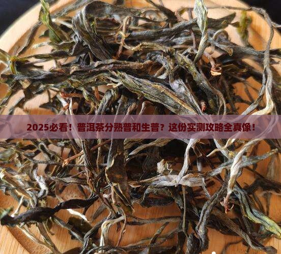 普洱茶分熟普和生普吗