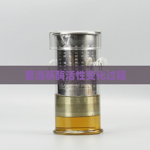 普洱茶酶活性变化过程