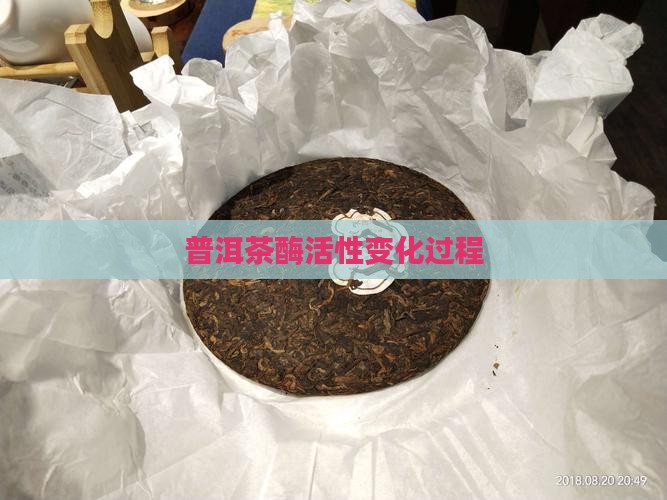 普洱茶酶活性变化过程