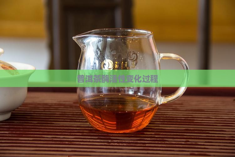 普洱茶酶活性变化过程