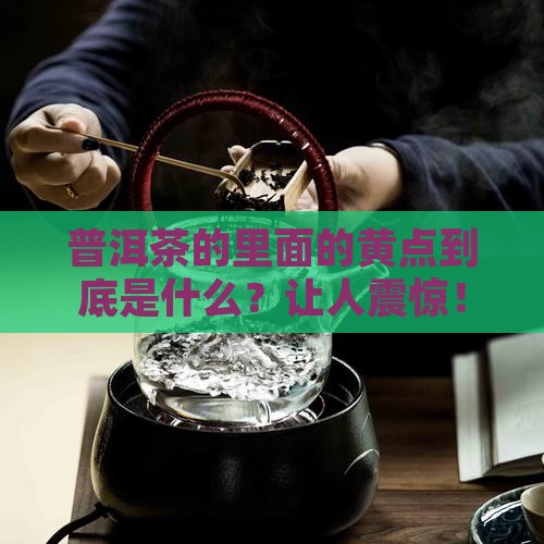 普洱茶的里面的黄点