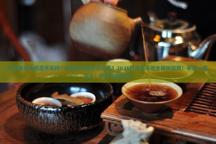 普洱茶采摘都是手采吗还是手采