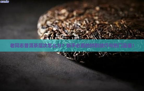 老同志普洱茶层次区分