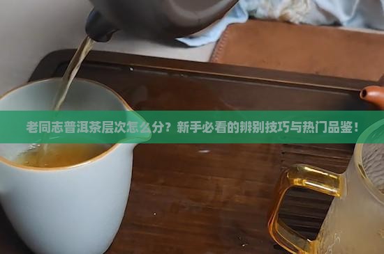 老同志普洱茶层次区分