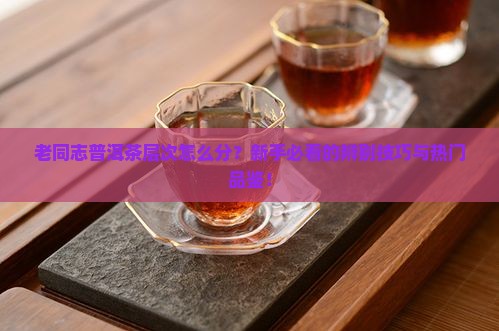 老同志普洱茶层次区分