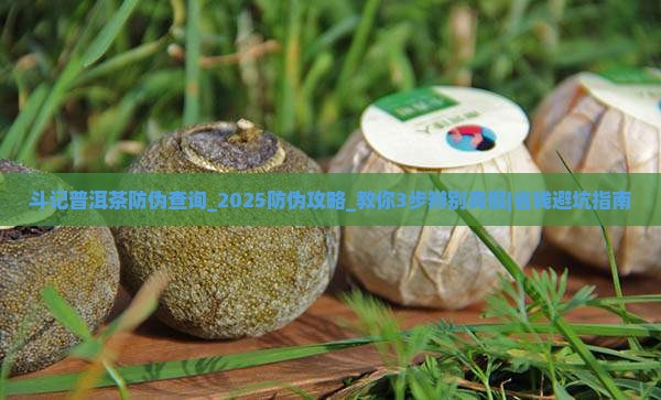 斗记普洱茶防伪查询