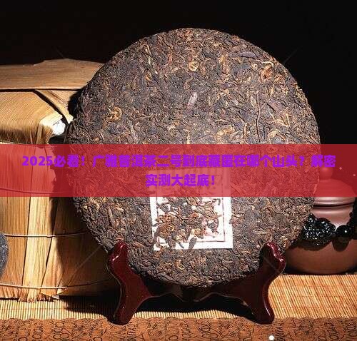 广雅普洱茶二号哪个山头