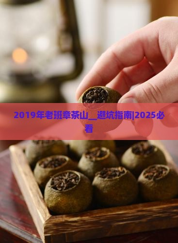 2019年老班章茶山