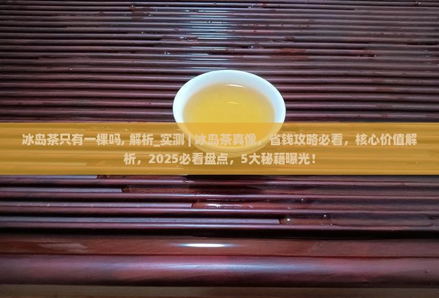 冰岛茶只有一棵吗