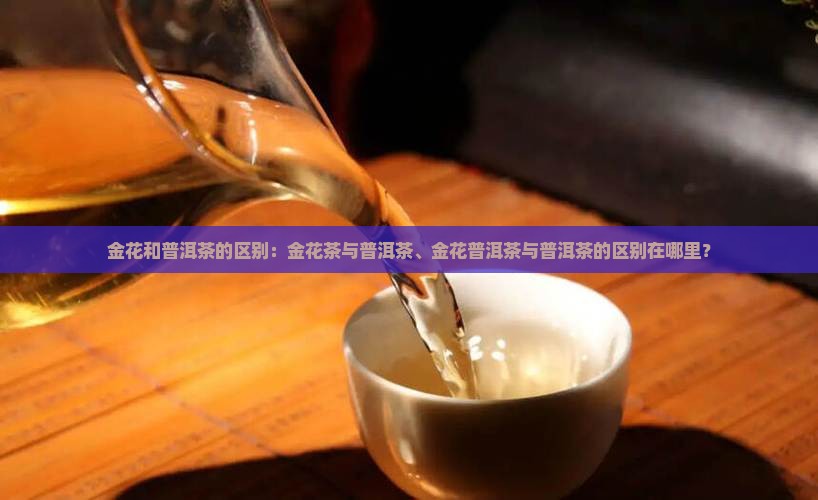 金花和普洱茶的区别