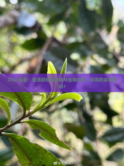 怎样把普洱茶弄碎