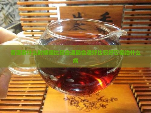 普洱茶什么时候喝比较合适