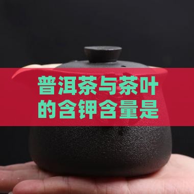 普洱茶的含钾量是多少