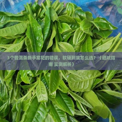 普洱茶硬的好还是软的好