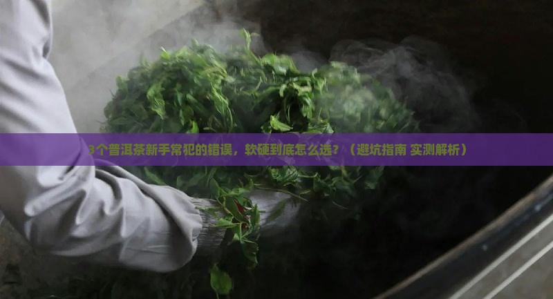 普洱茶硬的好还是软的好
