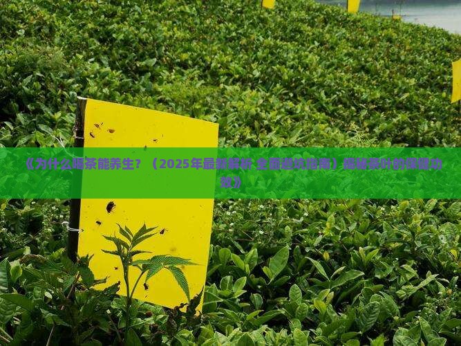 扼要阐述茶叶的保健功效