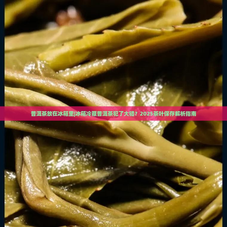 普洱茶放在冰箱里