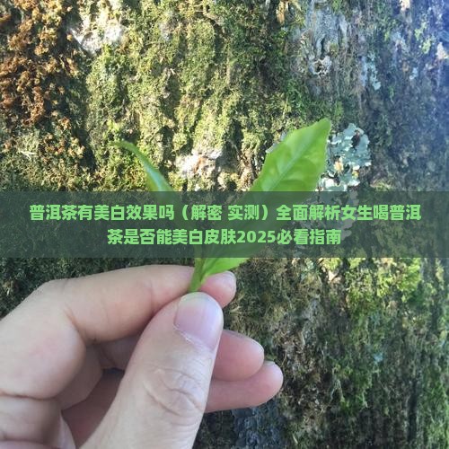 普洱茶有美白效果吗