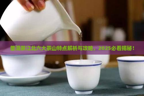 普洱茶江北六大茶山的特点