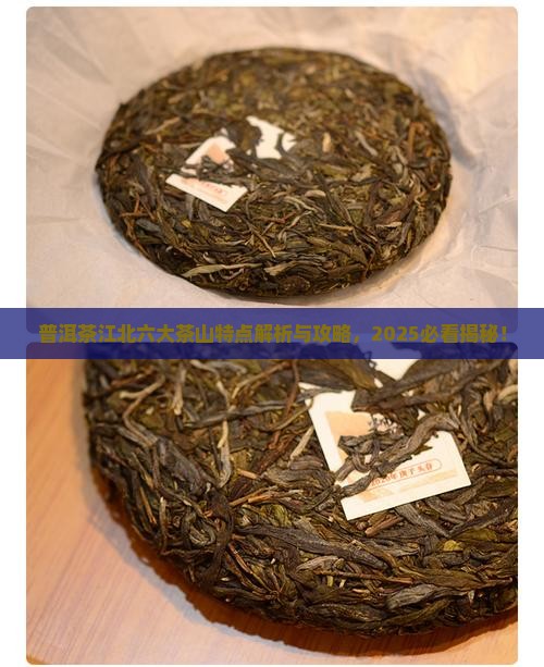 普洱茶江北六大茶山的特点