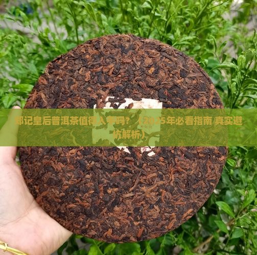 郑记皇后普洱茶