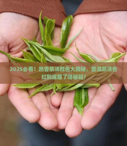 熟普茶汤颜色普洱茶汤色红