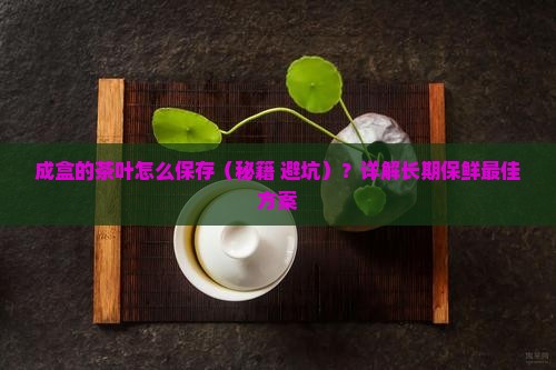 成盒的茶叶怎么保存