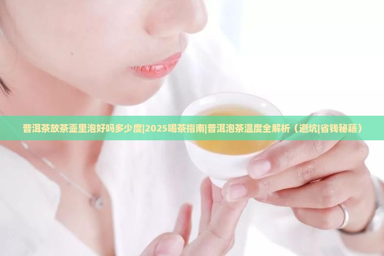 普洱茶放茶壶里泡好吗多少度