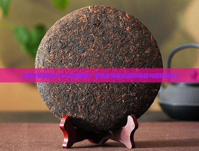 美津新境普洱茶