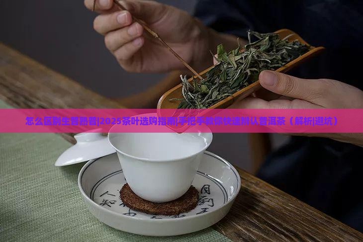 怎么区别生普熟普