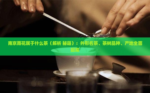 南京雨花属于什么茶