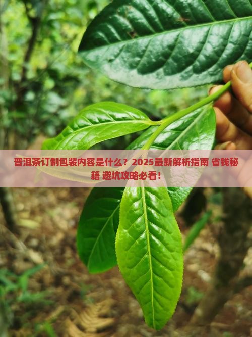 普洱茶订制包装内容是什么