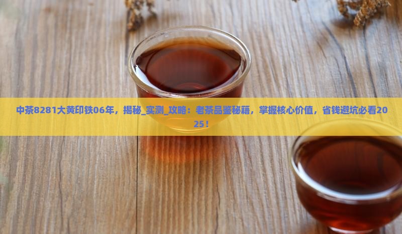中茶8281大黄印铁06年