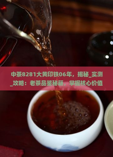中茶8281大黄印铁06年