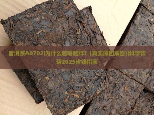 普洱茶A0702